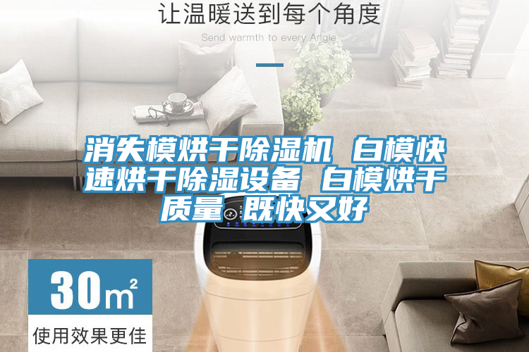 消失模烘干除濕機 白模快速烘干除濕設(shè)備 白模烘干質(zhì)量 既快又好