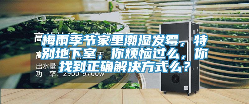 梅雨季節(jié)家里潮濕發(fā)霉，特別地下室，你煩惱過(guò)么，你找到正確解決方式么？