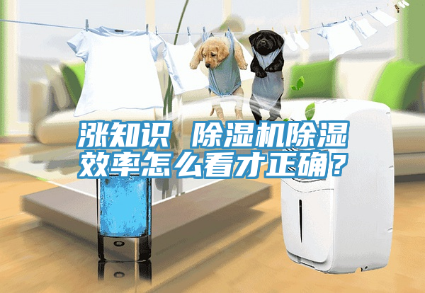 漲知識 除濕機除濕效率怎么看才正確？