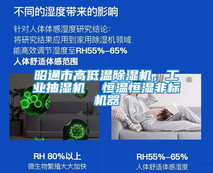 昭通市高低溫除濕機，工業(yè)抽濕機  恒溫恒濕非標機器
