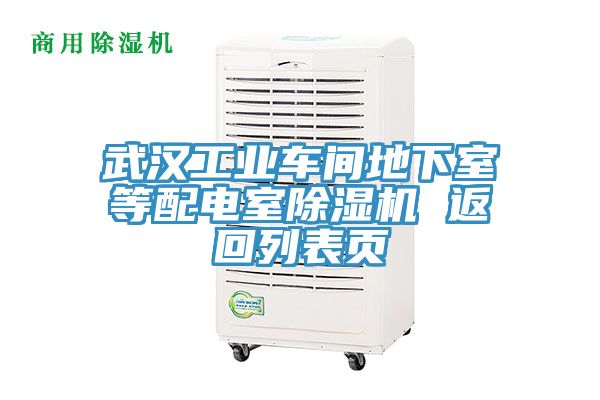 武漢工業(yè)車間地下室等配電室除濕機(jī) 返回列表頁