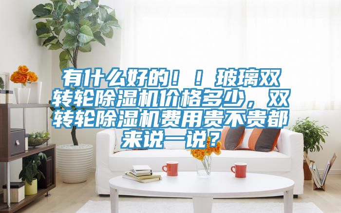 有什么好的??！玻璃雙轉(zhuǎn)輪除濕機(jī)價(jià)格多少，雙轉(zhuǎn)輪除濕機(jī)費(fèi)用貴不貴都來(lái)說(shuō)一說(shuō)？
