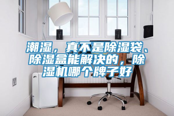 潮濕，真不是除濕袋、除濕盒能解決的，除濕機(jī)哪個牌子好