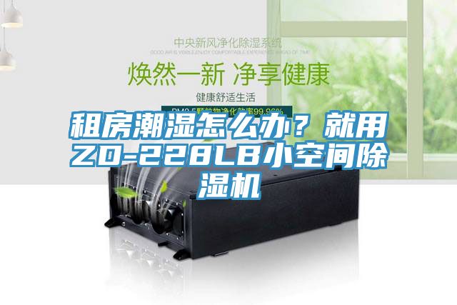 租房潮濕怎么辦？就用ZD-228LB小空間除濕機