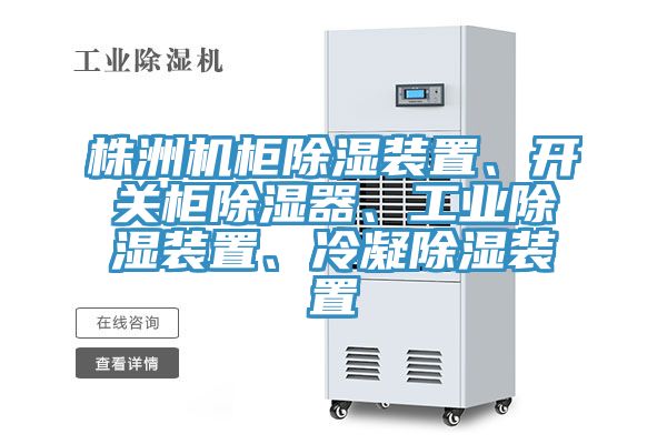株洲機柜除濕裝置、開關柜除濕器、工業(yè)除濕裝置、冷凝除濕裝置