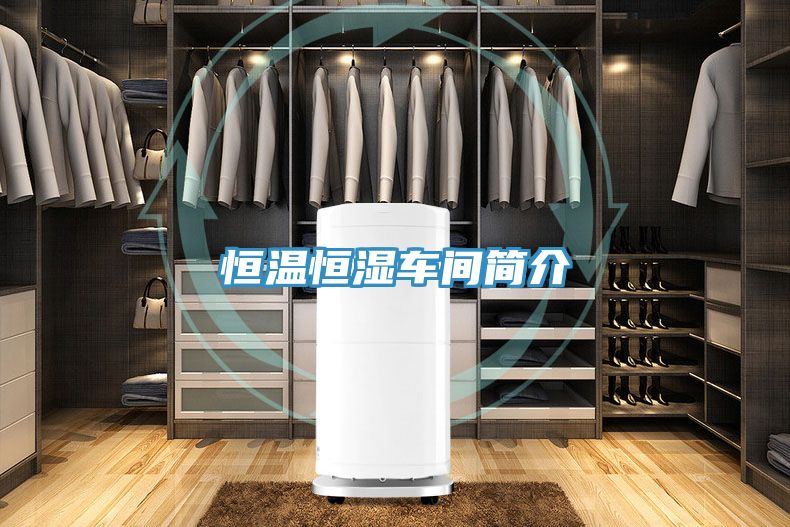 恒溫恒濕車(chē)間簡(jiǎn)介