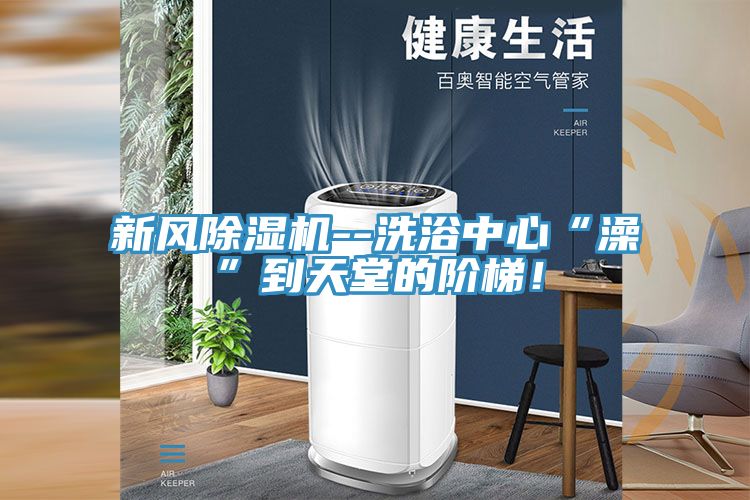 新風除濕機--洗浴中心“澡”到天堂的階梯！