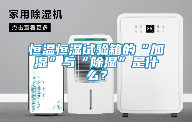 恒溫恒濕試驗箱的“加濕”與“除濕”是什么？