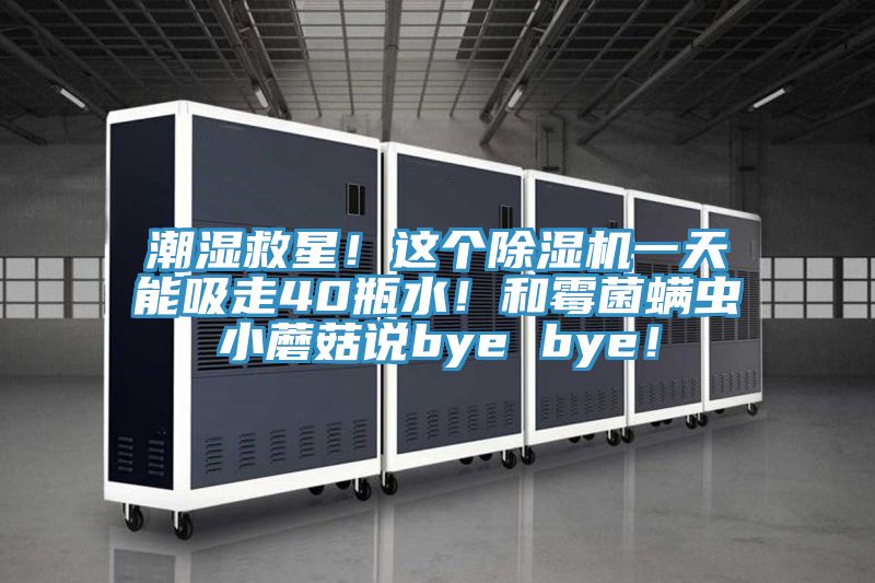 潮濕救星！這個除濕機一天能吸走40瓶水！和霉菌螨蟲小蘑菇說bye bye！