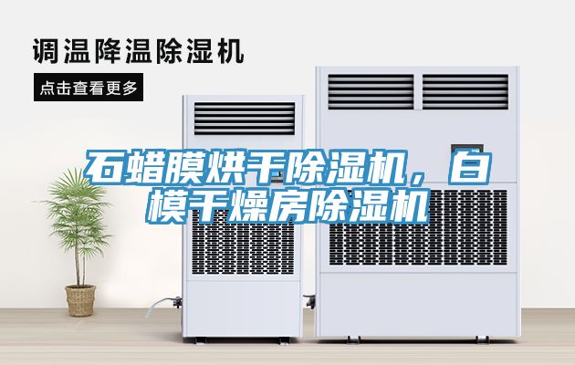 石蠟?zāi)ず娓沙凉駲C，白模干燥房除濕機