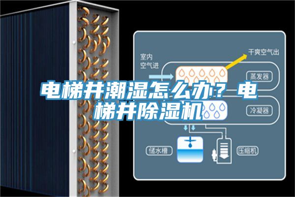 電梯井潮濕怎么辦？電梯井除濕機