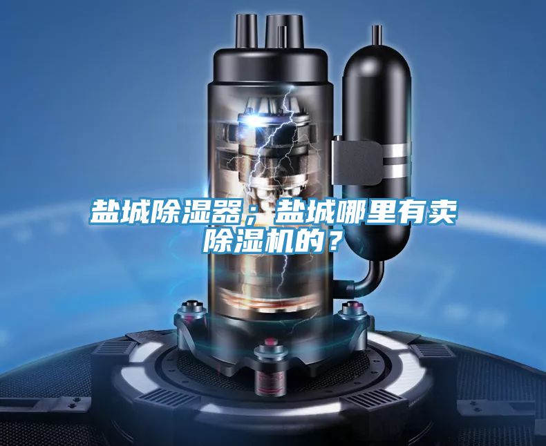 鹽城除濕器；鹽城哪里有賣除濕機的？