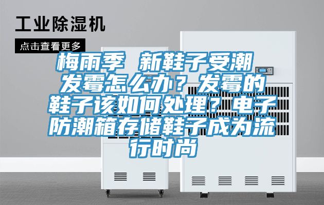 梅雨季 新鞋子受潮 發(fā)霉怎么辦？發(fā)霉的鞋子該如何處理？電子防潮箱存儲鞋子成為流行時尚