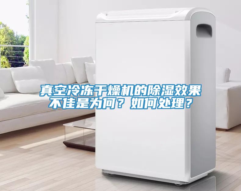真空冷凍干燥機的除濕效果不佳是為何？如何處理？
