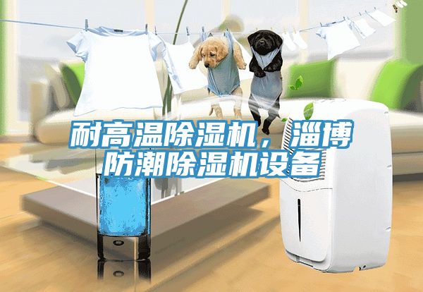 耐高溫除濕機(jī)，淄博防潮除濕機(jī)設(shè)備