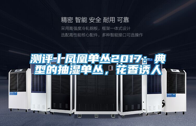 測(cè)評(píng)丨鳳凰單叢2017：典型的抽濕單叢，花香誘人