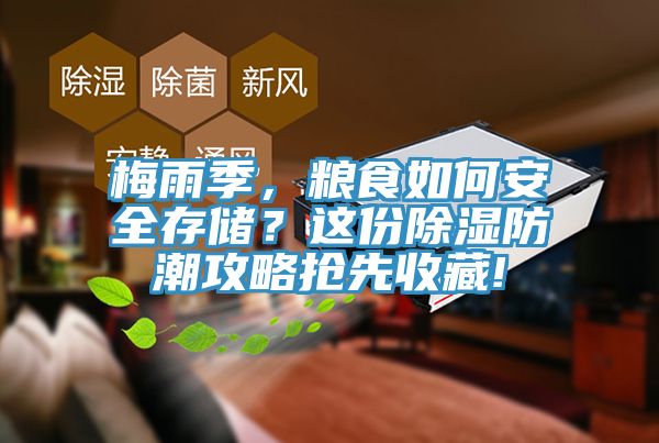 梅雨季，糧食如何安全存儲？這份除濕防潮攻略搶先收藏!
