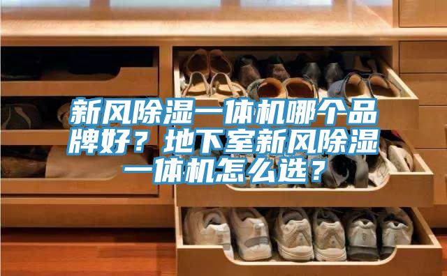 新風(fēng)除濕一體機哪個品牌好？地下室新風(fēng)除濕一體機怎么選？