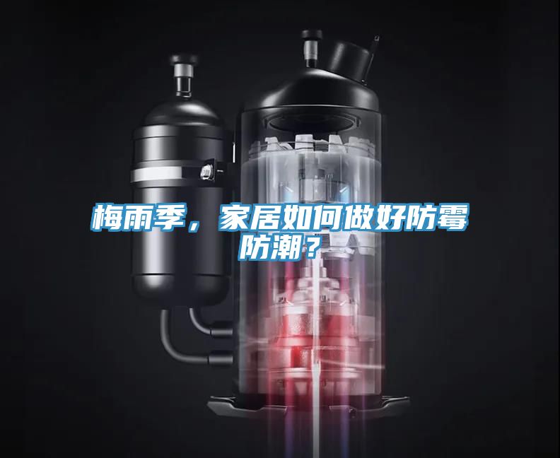 梅雨季，家居如何做好防霉防潮？