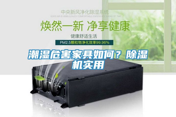 潮濕危害家具如何？除濕機實用