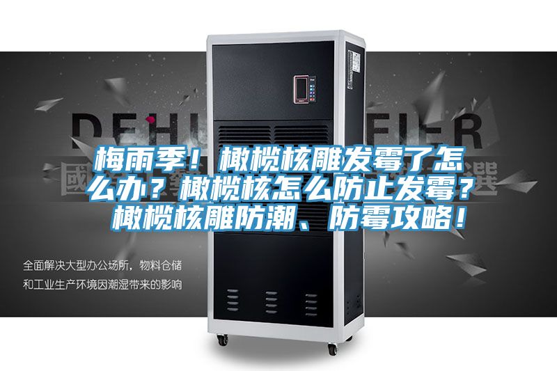 梅雨季！橄欖核雕發(fā)霉了怎么辦？橄欖核怎么防止發(fā)霉？ 橄欖核雕防潮、防霉攻略！