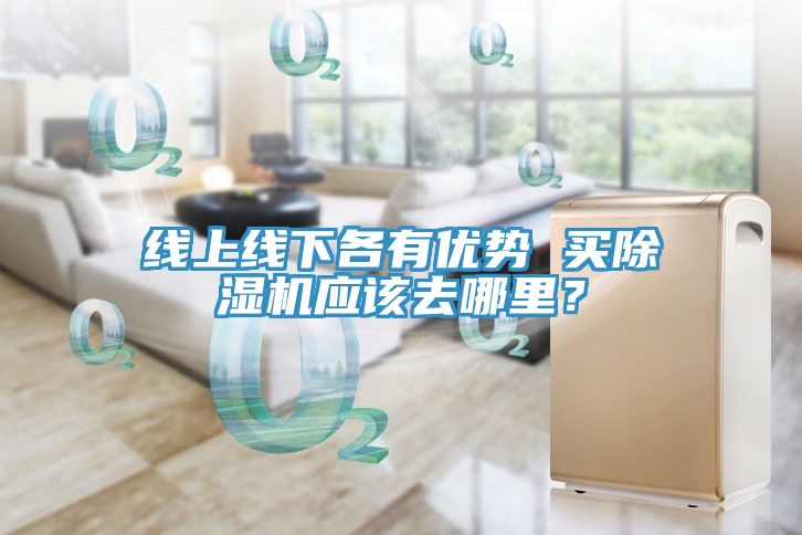 線上線下各有優(yōu)勢(shì) 買除濕機(jī)應(yīng)該去哪里？
