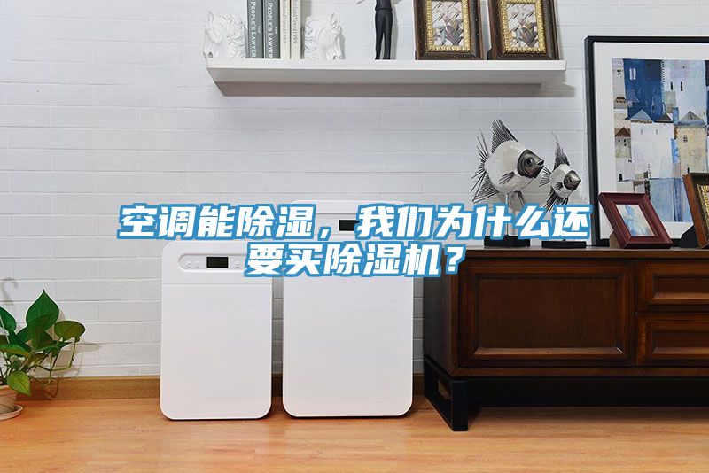 空調(diào)能除濕，我們?yōu)槭裁催€要買除濕機(jī)？
