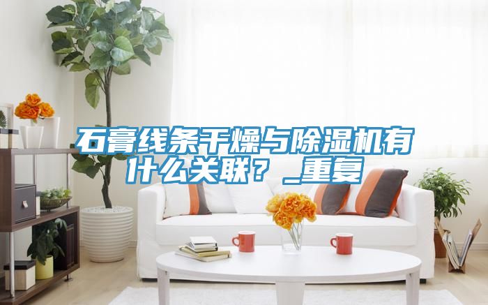 石膏線條干燥與除濕機有什么關(guān)聯(lián)？_重復(fù)
