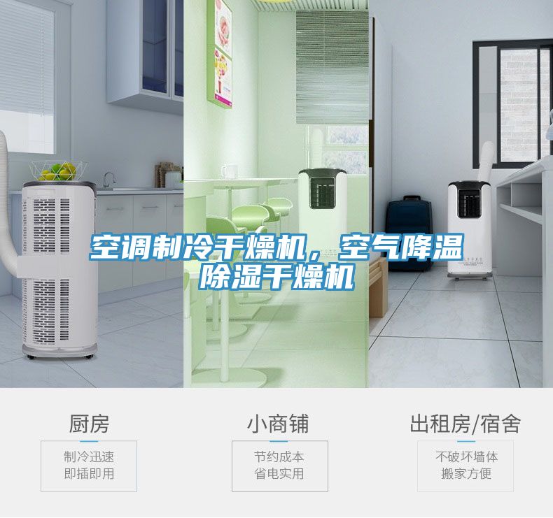 空調(diào)制冷干燥機，空氣降溫除濕干燥機