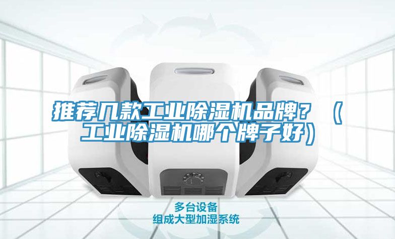 推薦幾款工業(yè)除濕機(jī)品牌？（工業(yè)除濕機(jī)哪個(gè)牌子好）