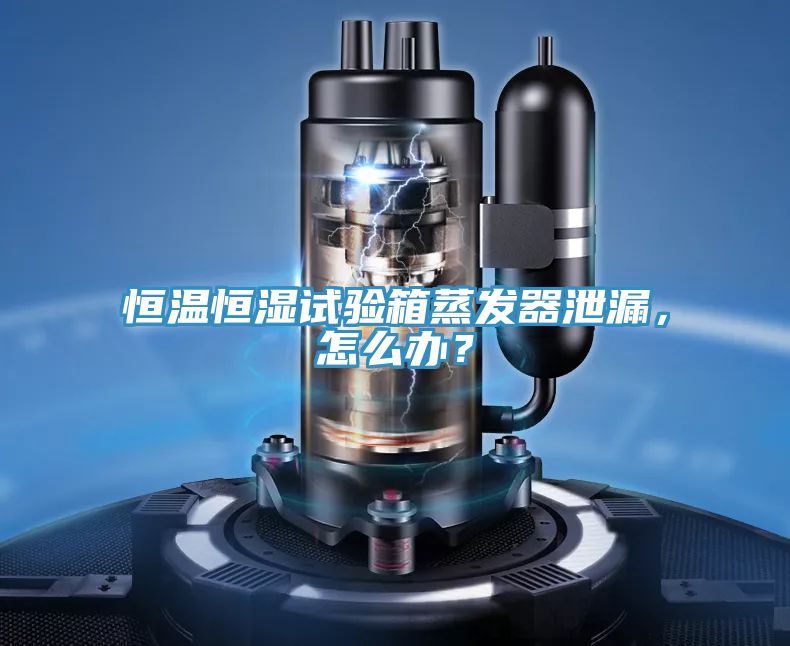 恒溫恒濕試驗(yàn)箱蒸發(fā)器泄漏，怎么辦？