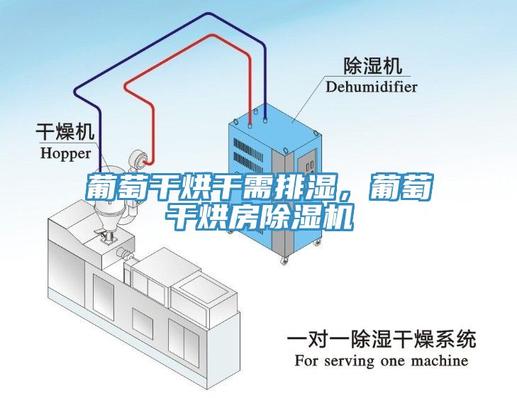 葡萄干烘干需排濕，葡萄干烘房除濕機(jī)