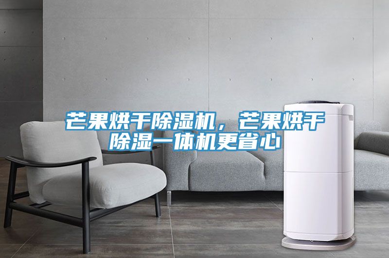 芒果烘干除濕機(jī)，芒果烘干除濕一體機(jī)更省心