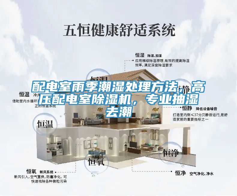配電室雨季潮濕處理方法，高壓配電室除濕機，專業(yè)抽濕去潮