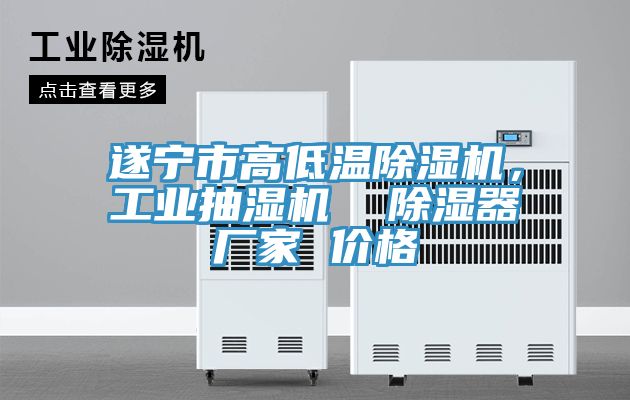 遂寧市高低溫除濕機(jī)，工業(yè)抽濕機(jī)  除濕器廠家 價(jià)格