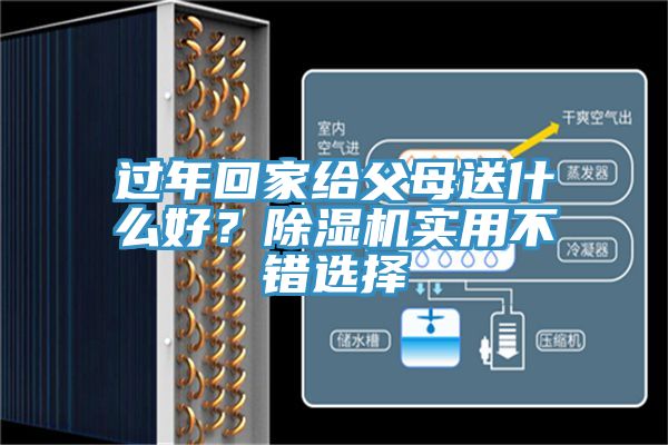 過年回家給父母送什么好？除濕機(jī)實(shí)用不錯(cuò)選擇