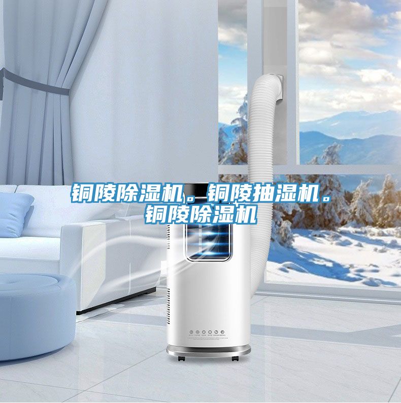 銅陵除濕機。銅陵抽濕機。銅陵除濕機