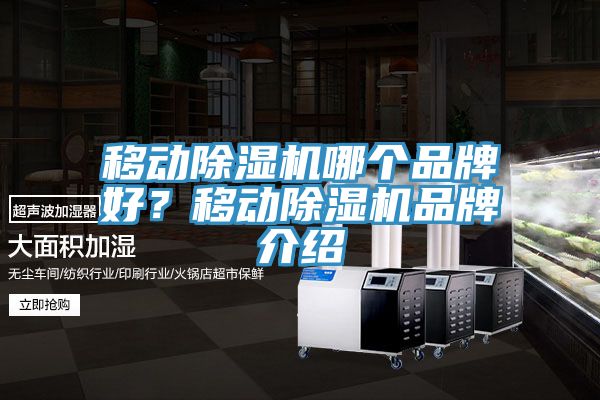 移動除濕機哪個品牌好？移動除濕機品牌介紹