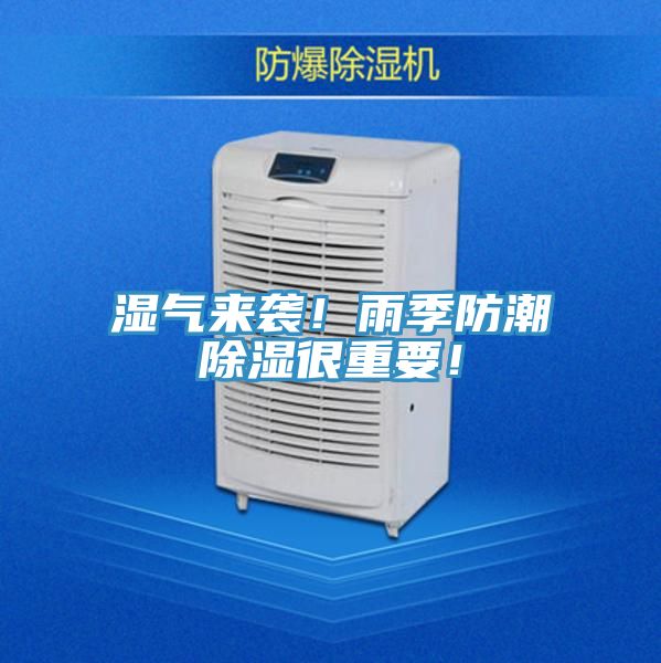 濕氣來襲！雨季防潮除濕很重要！