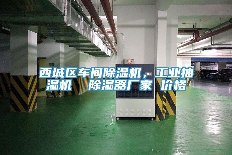西城區(qū)車間除濕機(jī)，工業(yè)抽濕機(jī)  除濕器廠家 價(jià)格