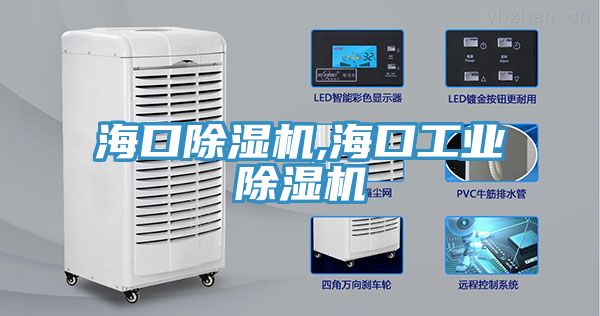海口除濕機,?？诠I(yè)除濕機