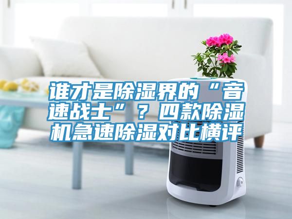 誰才是除濕界的“音速戰(zhàn)士”？四款除濕機急速除濕對比橫評