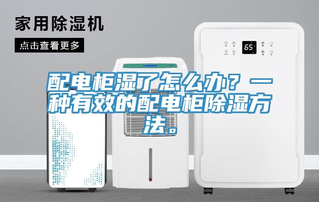 配電柜濕了怎么辦？一種有效的配電柜除濕方法。