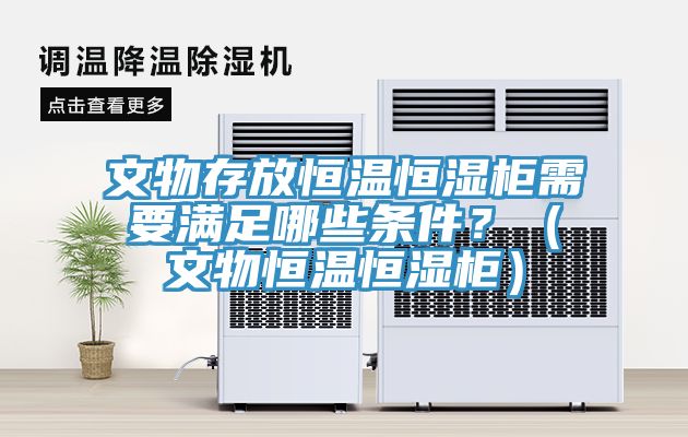 文物存放恒溫恒濕柜需要滿足哪些條件？（文物恒溫恒濕柜）