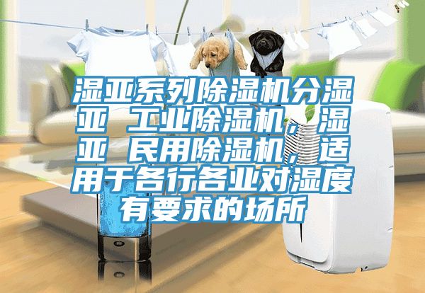 濕亞系列除濕機(jī)分濕亞 工業(yè)除濕機(jī)，濕亞 民用除濕機(jī)，適用于各行各業(yè)對濕度有要求的場所