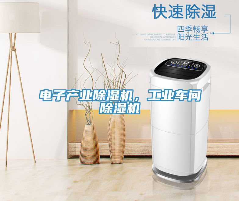 電子產(chǎn)業(yè)除濕機(jī)，工業(yè)車間除濕機(jī)