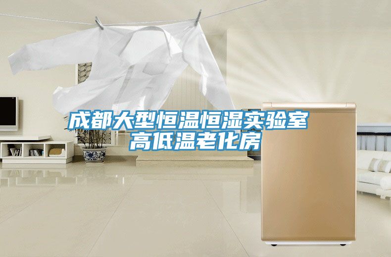 成都大型恒溫恒濕實驗室 高低溫老化房