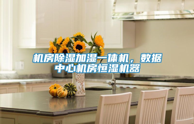機(jī)房除濕加濕一體機(jī)，數(shù)據(jù)中心機(jī)房恒濕機(jī)器