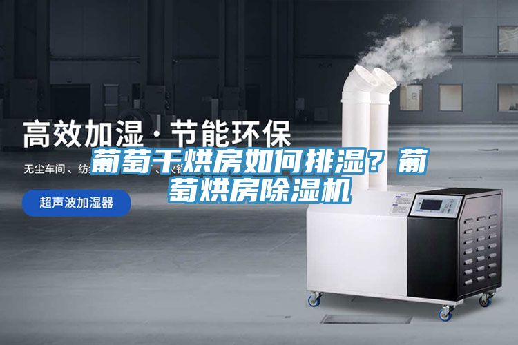 葡萄干烘房如何排濕？葡萄烘房除濕機(jī)