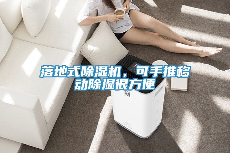 落地式除濕機(jī)，可手推移動除濕很方便